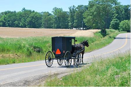 Amish buggy on road